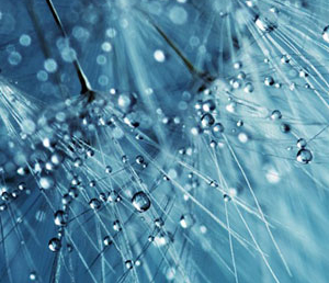 4 цитаты из книги А.Диамант «День после ночи»