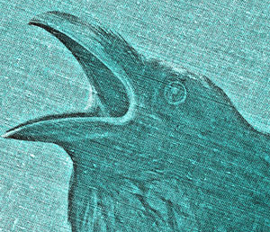 18 цитат из книги М.Фрая «Ворона на мосту»