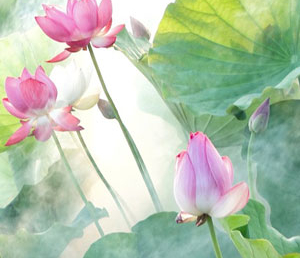 24 цитаты из книги М.Фрая «Неуловимый Хабба Хэн»