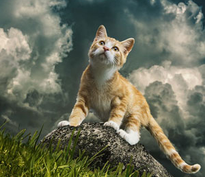 Р.Хайнлайн, разные произведения (отзыв)