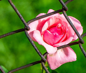 14 цитат из книги Е.Гинзбург «Крутой маршрут»