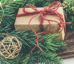 7 цитат из книги Ф.Флэгг «Рождество и красный кардинал»