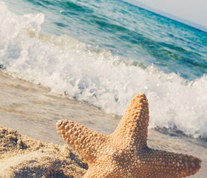 7 цитат из книги М.Фрая «Тубурская игра»