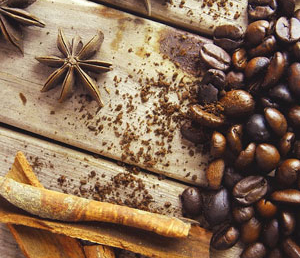 М.Фрай «Хроники Ехо» (отзыв)