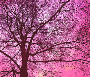 13 цитат из книги С.Лукьяненко «Близится утро»